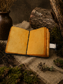 The Winged Grove Journal