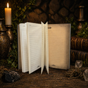 Dragon Hardback Journal