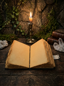 The Maleficent Journal