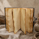 Open book with aged pages on a textured surface with natural elements