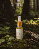 Witch In The Woods • Grounding