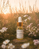 Elixir of Moonveil • Emotional Calm